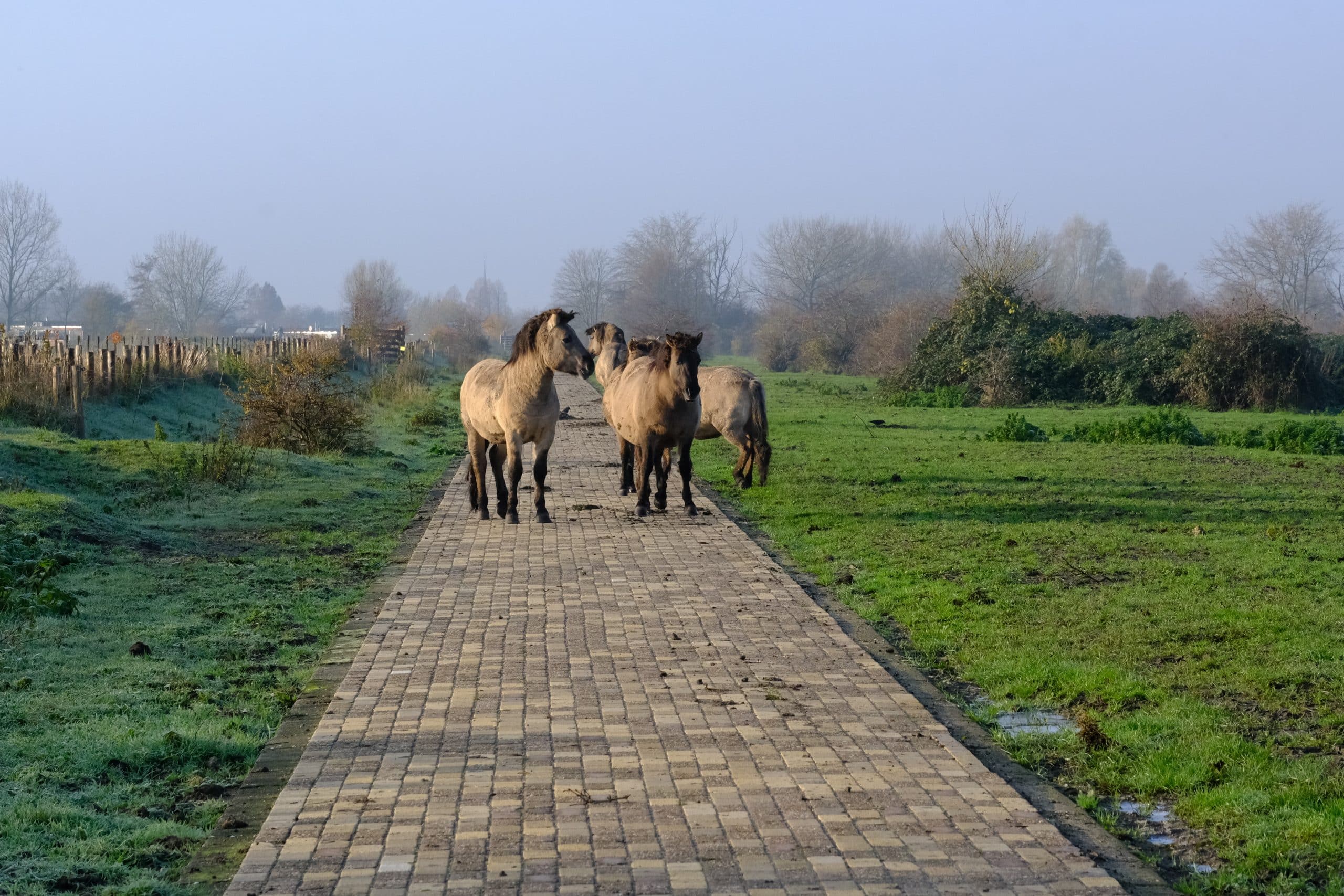 Wandelen op de Staart? Houd je aan de regels!