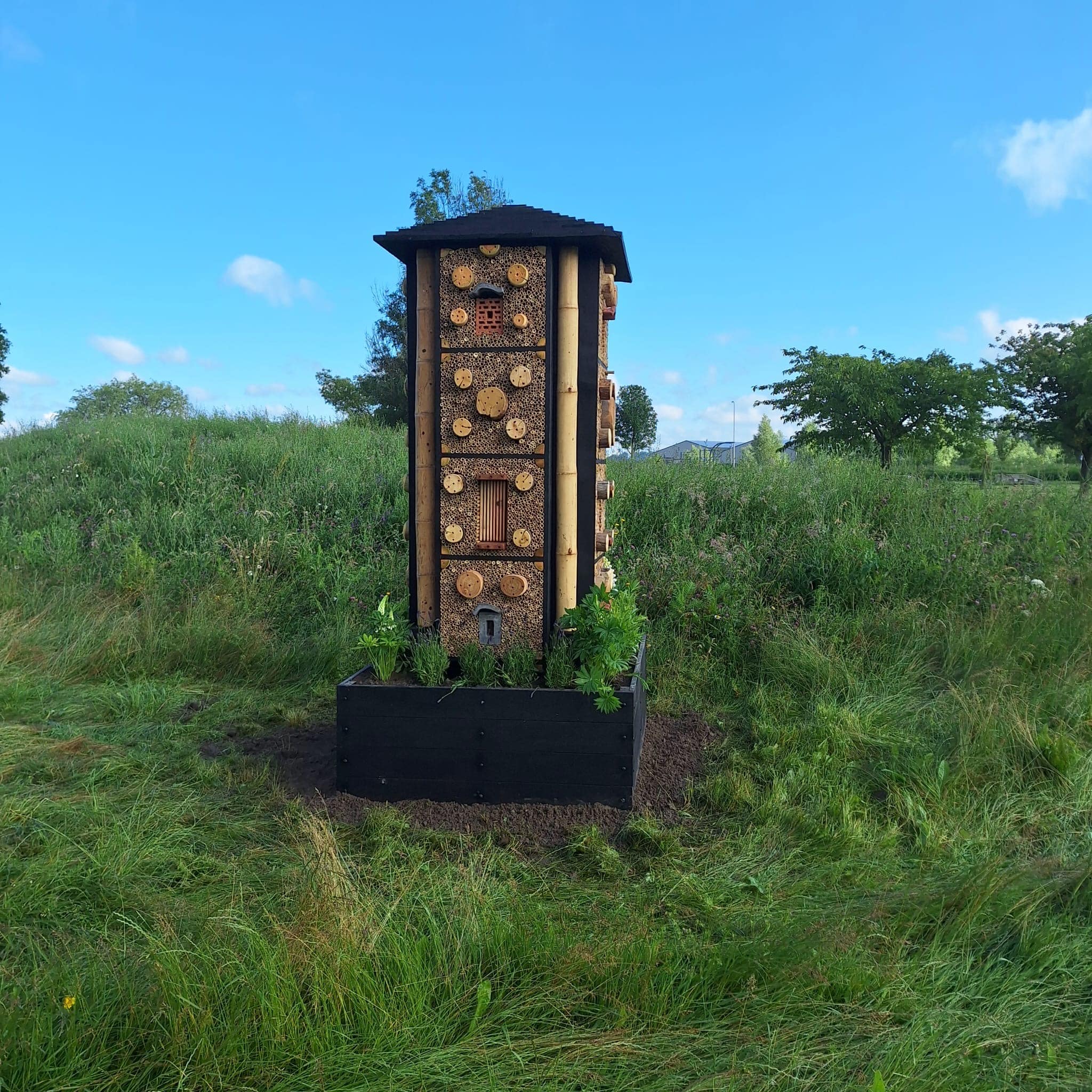 Insectenflat voor park Waterweide in Westmaas