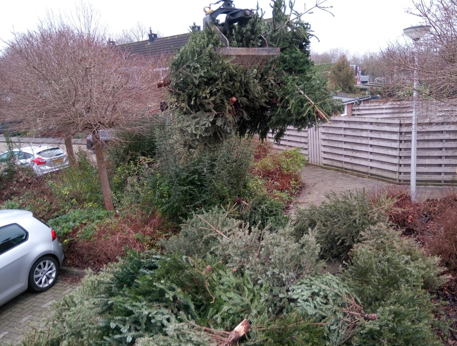 Inleveren van kerstbomen